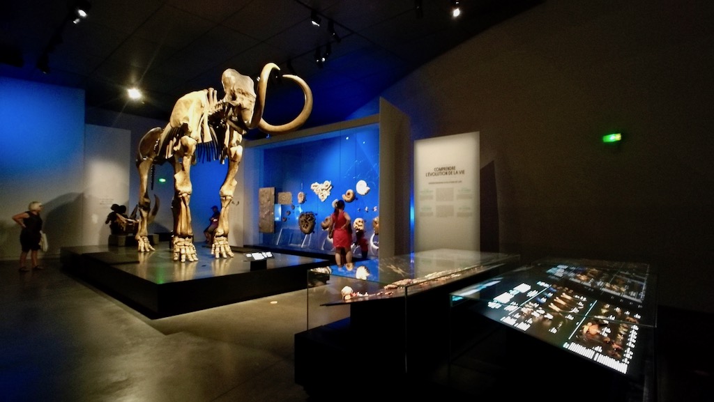musée des confluences exposition dinosaure